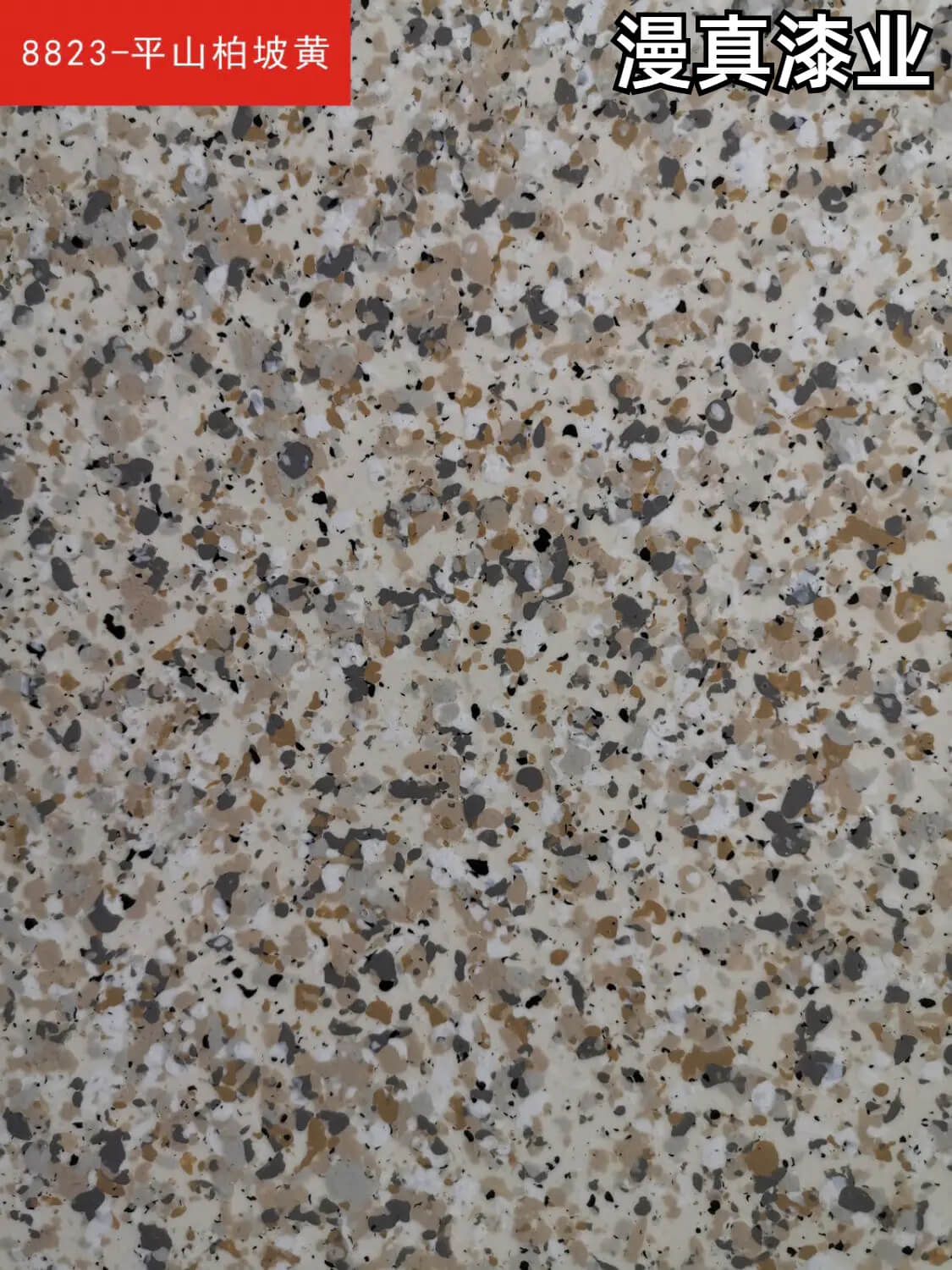 5d仿石漆电子色卡