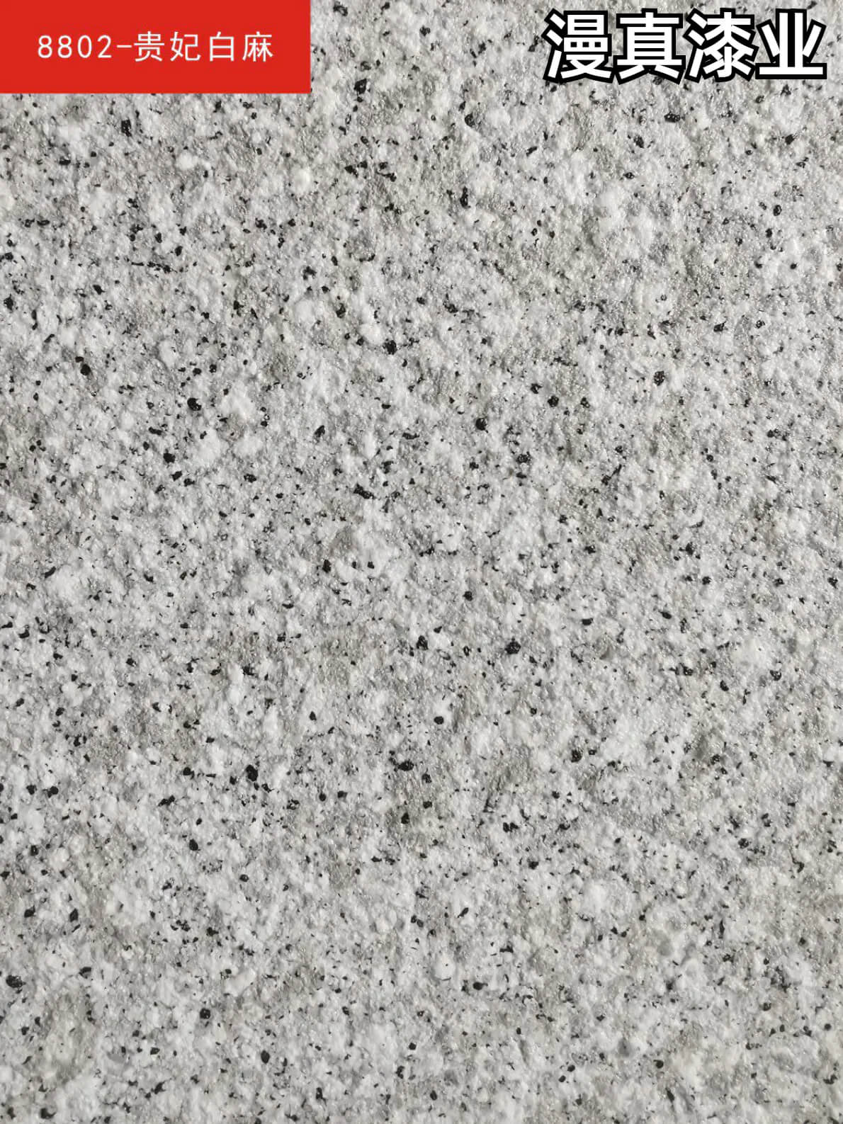 5d仿石漆电子色卡